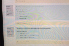 QVqfObrQV_E